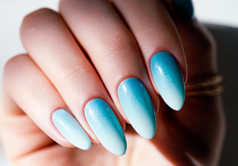 Anna Schmidt Portfolio 5