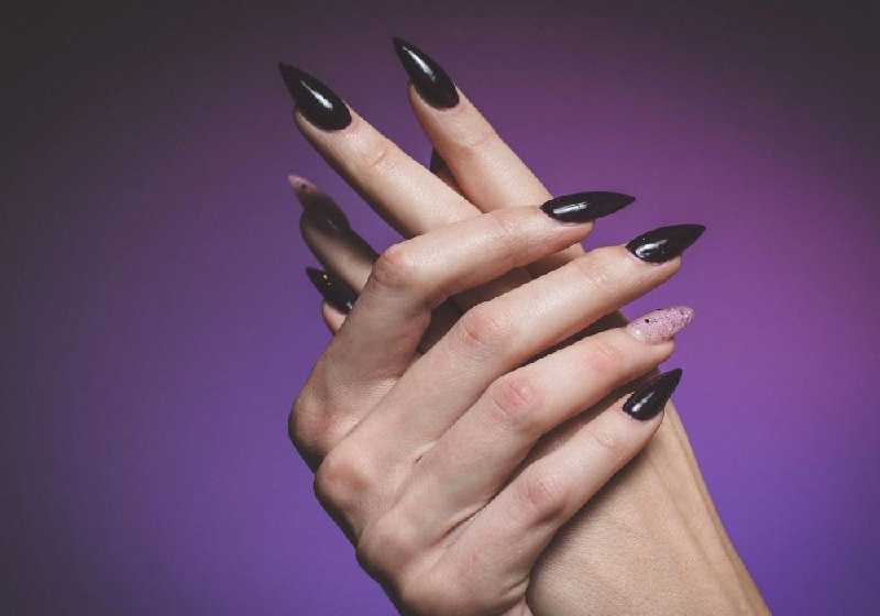 Anna Schmidt Portfolio 1