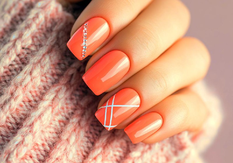 Anna Schmidt Portfolio 2